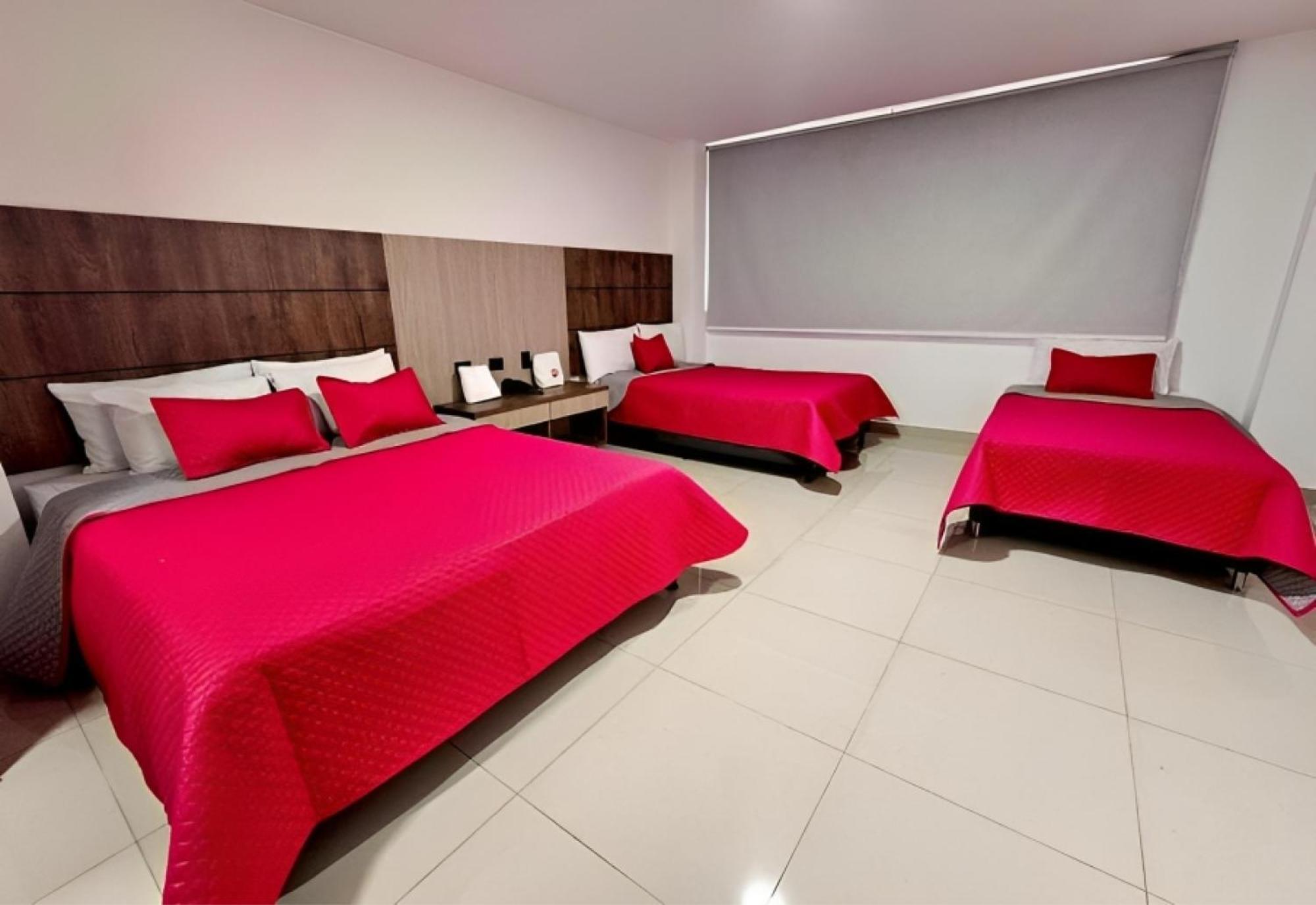 Standard Quadruple Room,1543711717:JPEG