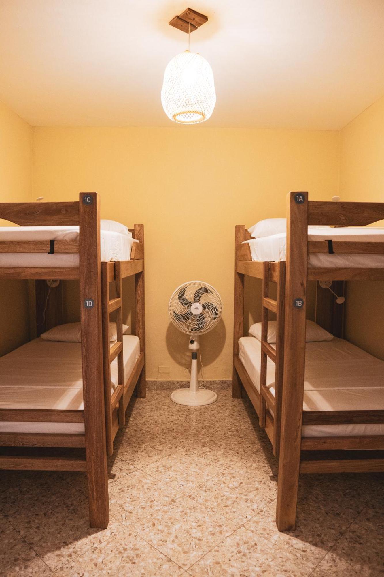 Single Bed in Mixed Dormitory Room,1647906510:JPEG