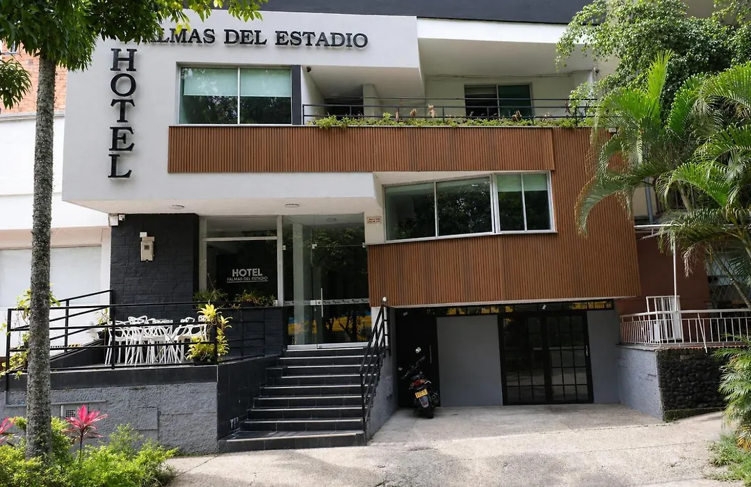Hotel Palmas del Estadio-1