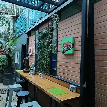 Canela Hostel Medellin-2