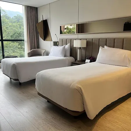 York Medellin, Curio Collection By Hilton-2